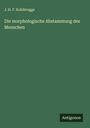 J. H. F. Kohlbrugge: Die morphologische Abstammung des Menschen, Buch