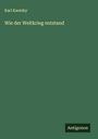 Karl Kautsky: Wie der Weltkrieg entstand, Buch