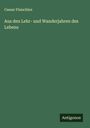 Caesar Flaischlen: Aus den Lehr- und Wanderjahren des Lebens, Buch