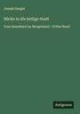 Joseph Gauger: Blicke in die heilige Stadt, Buch