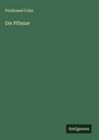 Ferdinand Cohn: Die Pflanze, Buch