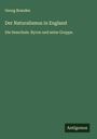 Georg Brandes: Der Naturalismus in England, Buch