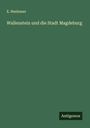 E. Neubauer: Wallenstein und die Stadt Magdeburg, Buch