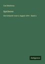 Carl Bleibtreu: Spicheren, Buch