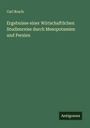 Carl Bosch: Ergebnisse einer Wirtschaftlichen Studienreise durch Mesopotamien und Persien, Buch