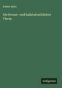 Robert Beltz: Die bronze- und hallstattzeitlichen Fibeln, Buch