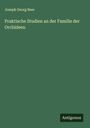 Joseph Georg Beer: Praktische Studien an der Familie der Orchideen, Buch