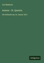 Carl Bleibtreu: Amiens - St. Quentin, Buch