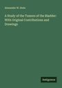 Alexander W. Stein: A Study of the Tumors of the Bladder: With Original Contributions and Drawings, Buch