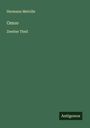 Hermann Melville: Omoo, Buch