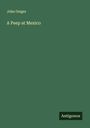 John Geiger: A Peep at Mexico, Buch