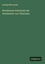 Ludwig Mittermaier: Wunderbare Schicksale der Geschwister von Thierstein, Buch
