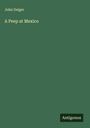 John Geiger: A Peep at Mexico, Buch