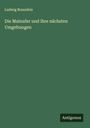 Ludwig Braunfels: Die Mainufer und ihre nächsten Umgebungen, Buch