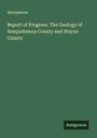 Anonymous: Report of Progress. The Geology of Susquehanna County and Wayne County, Buch