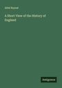 Abbé Raynal: A Short View of the History of England, Buch