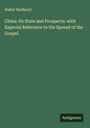 Walter Medhurst: China: Its State and Prospects: with Especial Reference to the Spread of the Gospel, Buch