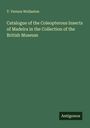 T. Vernon Wollaston: Catalogue of the Coleopterous Insects of Madeira in the Collection of the British Museum, Buch