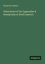 Richard H. Stretch: Illustrations of the Zygaenidae & Bombycidae of North America, Buch