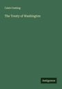 Caleb Cushing: The Treaty of Washington, Buch