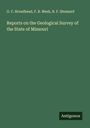 G. C. Broadhead: Reports on the Geological Survey of the State of Missouri, Buch