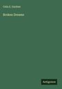 Celia E. Gardner: Broken Dreams, Buch