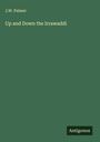 J. W. Palmer: Up and Down the Irrawaddi, Buch