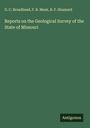 G. C. Broadhead: Reports on the Geological Survey of the State of Missouri, Buch