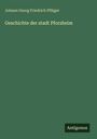 Johann Georg Friedrich Pflüger: Geschichte der stadt Pforzheim, Buch