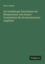 Oben steht "Herm. Roques", zentral: Titel über Heidelberger Katechismus, unten rechts "Antigonos". Grüner Hintergrund.