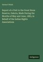 Herbert Welsh: Report of a Visit to the Great Sioux Reserve, Dakota, Made During the Months of May and June, 1883, in Behalf of the Indian Rights Associations, Buch