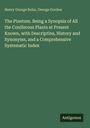Henry George Bohn: The Pinetum. Being a Synopsis of All the Coniferous Plants at Present Known, with Descriptins, History and Synonyms, and a Comprehensive Systematic Index, Buch