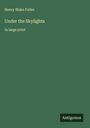 Henry Blake Fuller: Under the Skylights, Buch
