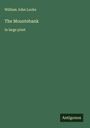 William John Locke: The Mountebank, Buch