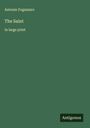 Antonio Fogazzaro: The Saint, Buch