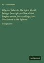 M. T. Shelhamer: Life And Labor In The Spirit World; Being a Description of Localities, Employments, Surroundings, And Conditions in the Spheres, Buch