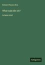 Edward Payson Roe: What Can She Do?, Buch