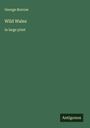 George Borrow: Wild Wales, Buch
