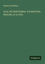 Sarah Lucy McKay: Lucy, the Sold Orphan. A Drama from Real Life, in 12 Acts, Buch