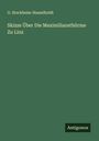 G. Stockheim-Hasselholdt: Skizze Über Die Maximiliansthürme Zu Linz, Buch