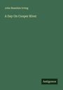 John Beaufain Irving: A Day On Cooper River, Buch