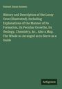 Samuel Zenas Ammen: History and Description of the Luray Cave (Illustrated), Including Explanations of the Manner of its Formation, its Peculiar Growths, its Geology, Chemistry, &c., Also a Map. The Whole so Arranged as to Serve as a Guide, Buch