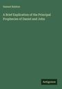 Samuel Ralston: A Brief Explication of the Principal Prophecies of Daniel and John, Buch