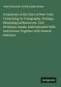 John Disturnell: A Gazetteer of the State of New-York: Comprising Its Topography, Geology, Mineralogical Resources, Civil Divisions, Canals, Railroads and Public Institutions; Together with General Statistics, Buch