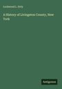 Lockwood L. Doty: A History of Livingston County, New York, Buch