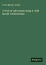 Foster Barham Zincke: A Walk in the Grisons; Being a Third Month in Switzerland, Buch