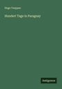 Hugo Toeppen: Hundert Tage in Paraguay, Buch