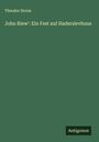 Theodor Storm: John Riew': Ein Fest auf Haderslevhuus, Buch