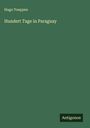 Hugo Toeppen: Hundert Tage in Paraguay, Buch