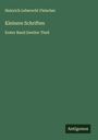 Heinrich Leberecht Fleischer: Kleinere Schriften, Buch